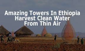 Warka Water can be a possible solution in arid lands. Here’s the story.